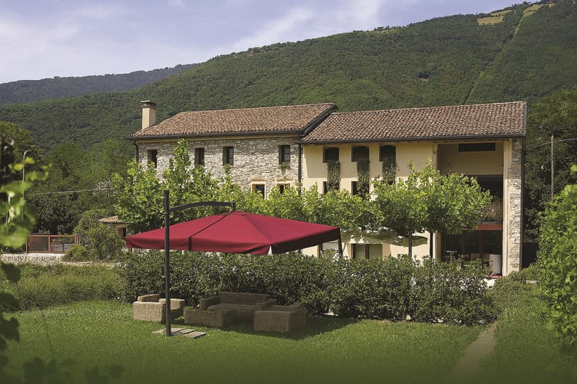 Vineyard Views