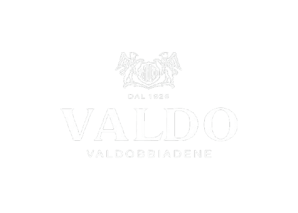 Valdo Logo