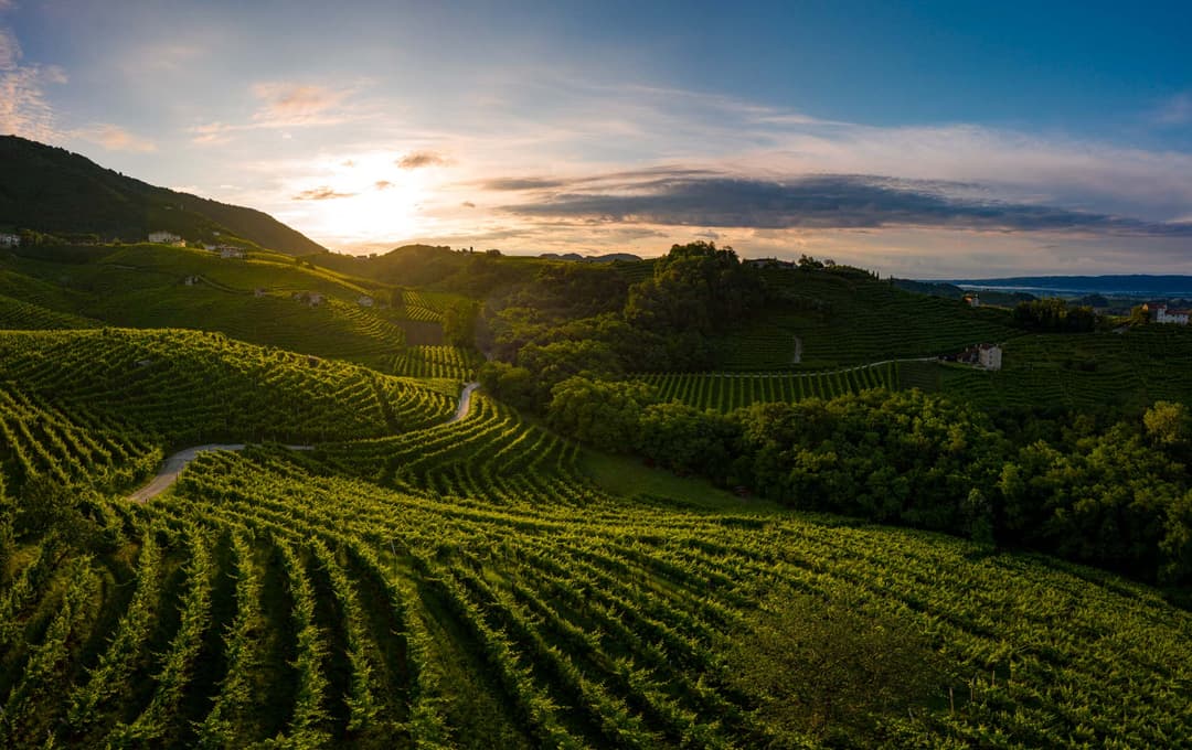 PROSECCO FORMALLY RECOGNIZED