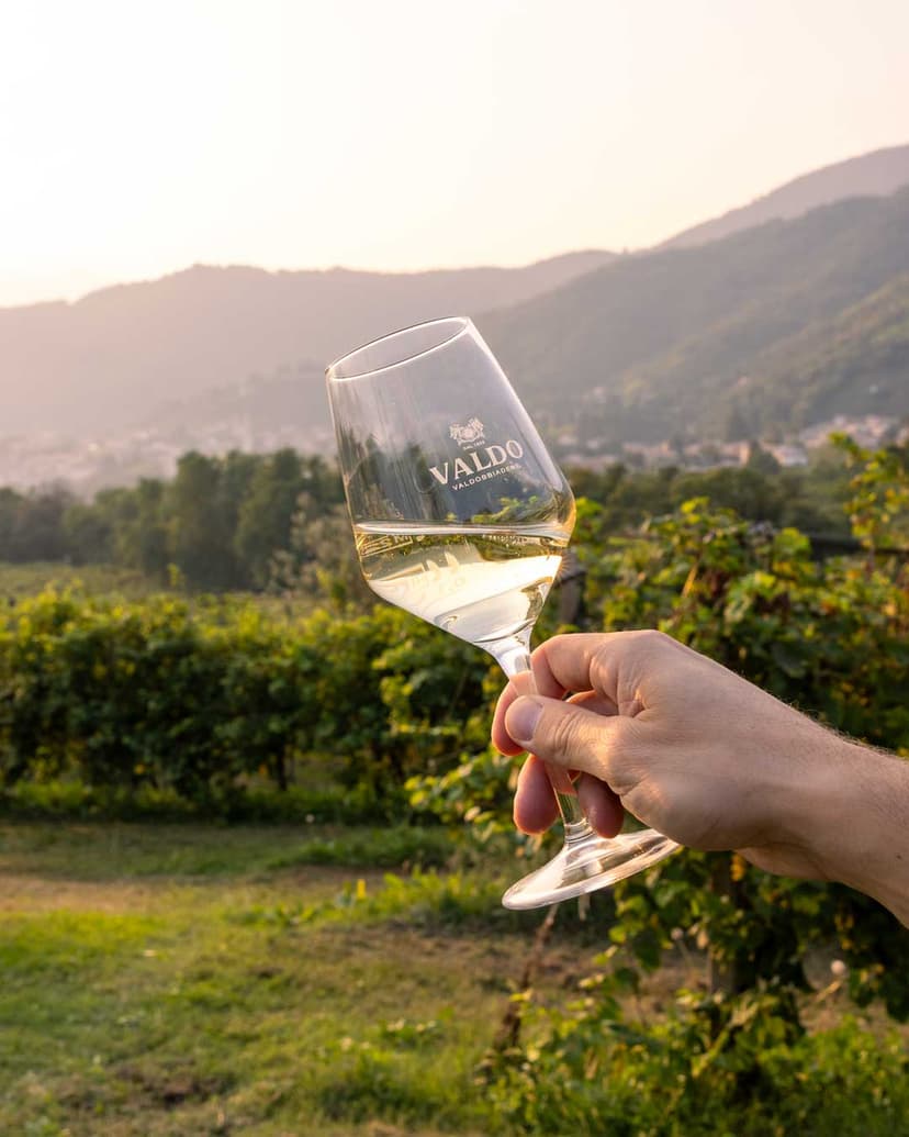 Glass of Prosecco overlooking the vineyards of Valdobbiadene